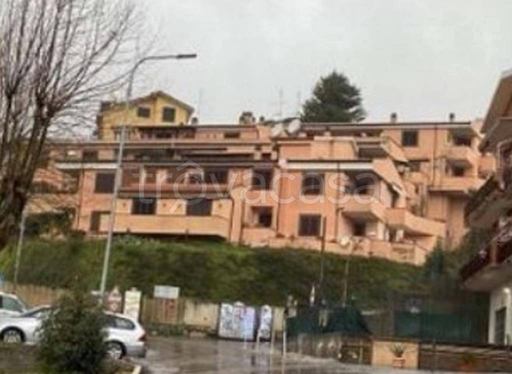immagine annuncio 4 di 14