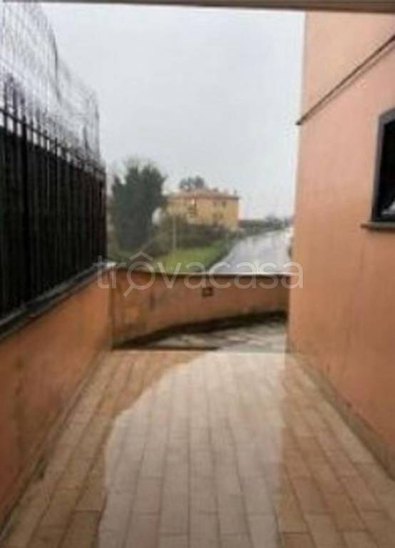 immagine annuncio 12 di 14
