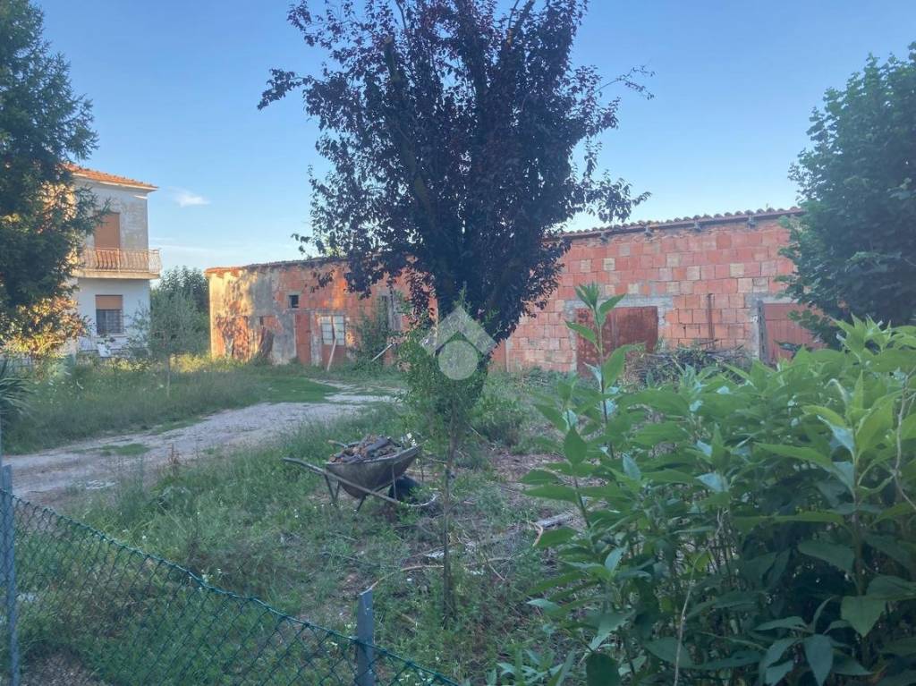 immagine annuncio 8 di 9