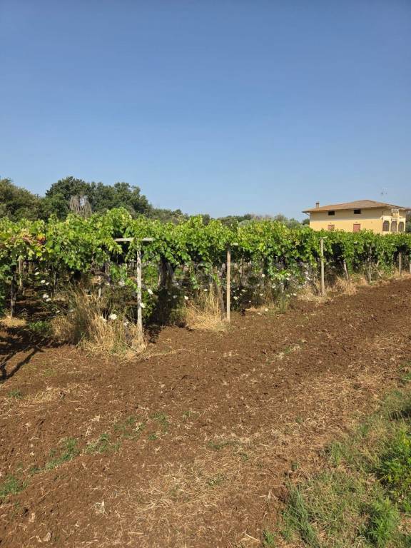 immagine annuncio 6 di 9