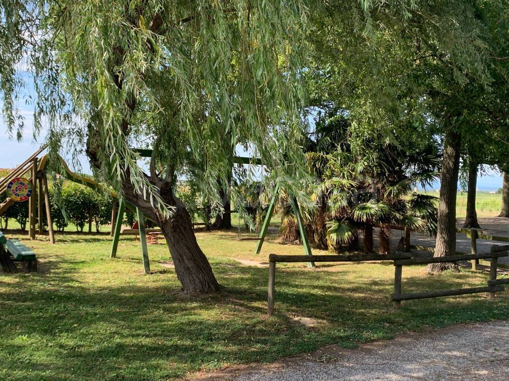 immagine annuncio 7 di 15