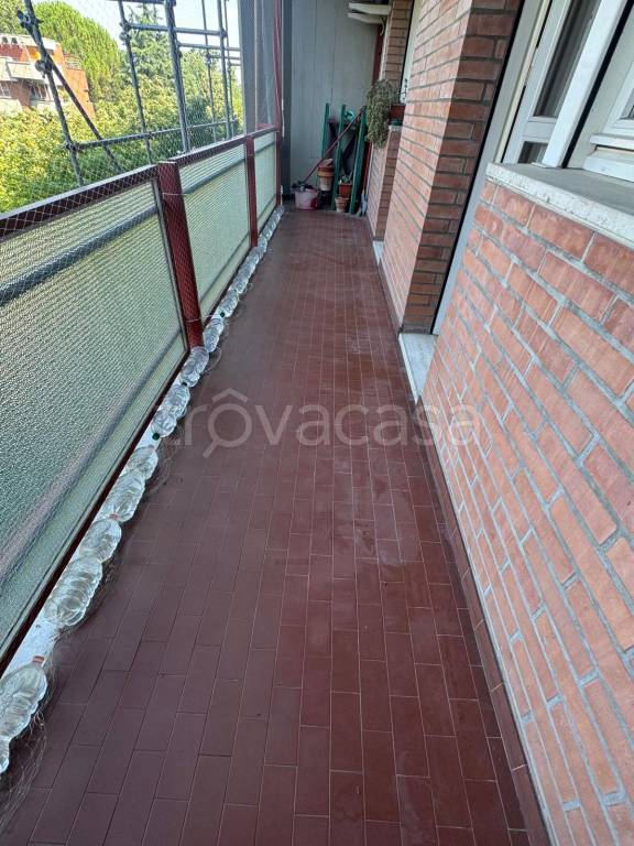 immagine annuncio 10 di 14