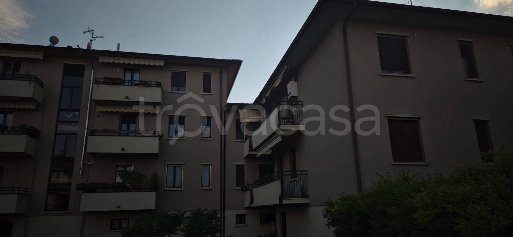 immagine annuncio 2 di 12