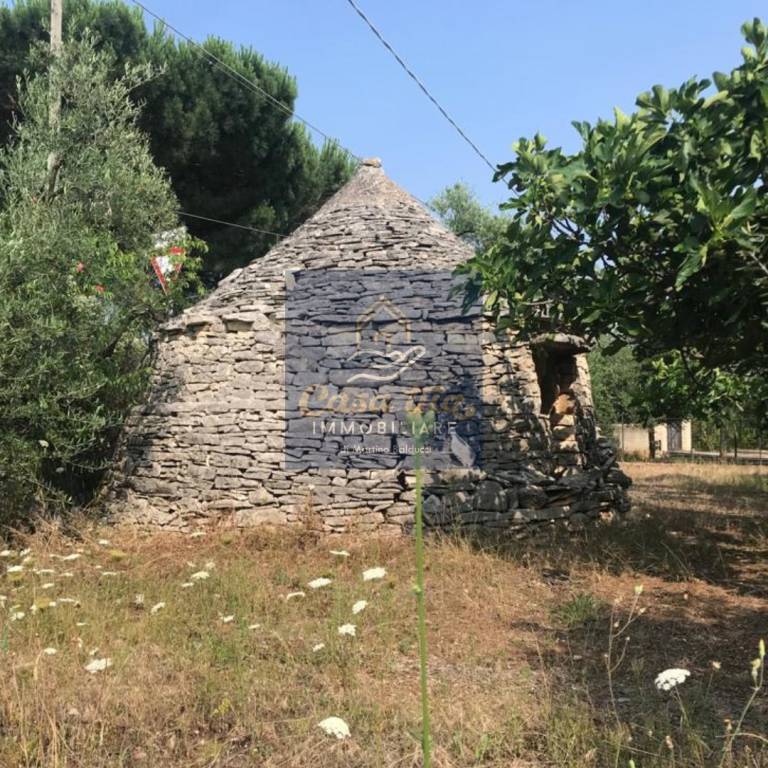 immagine annuncio 2 di 3