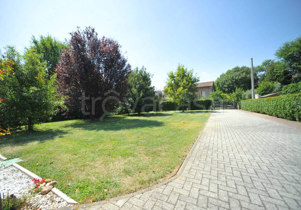 immagine annuncio 11 di 15