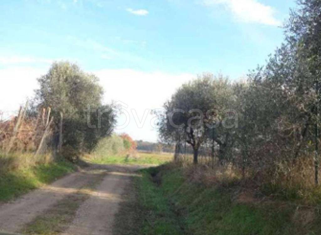 immagine annuncio 7 di 11