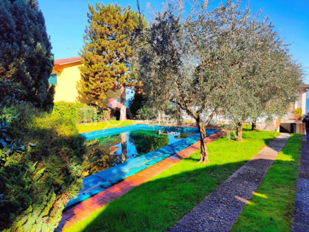 immagine annuncio 11 di 12