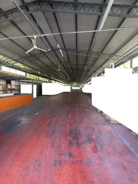 immagine annuncio 5 di 14