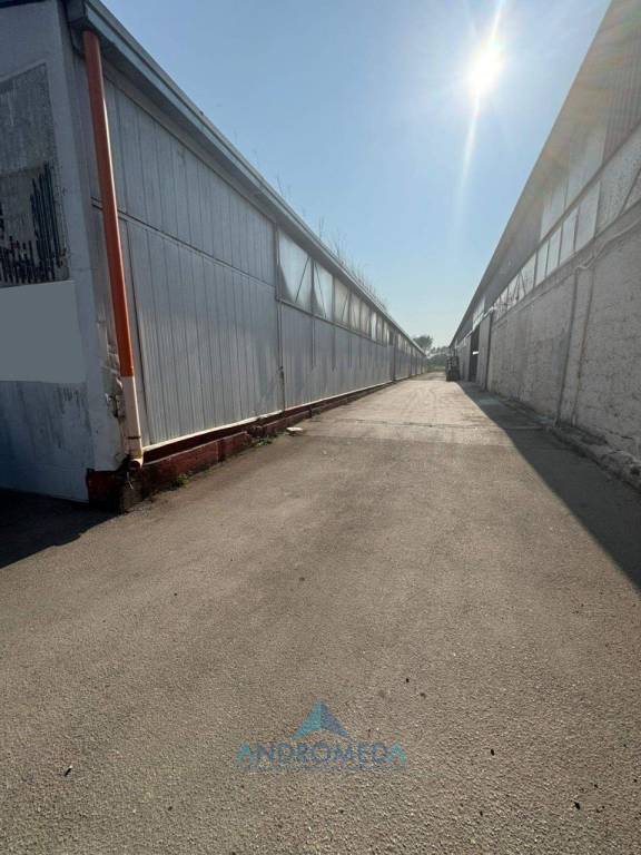 immagine annuncio 10 di 14