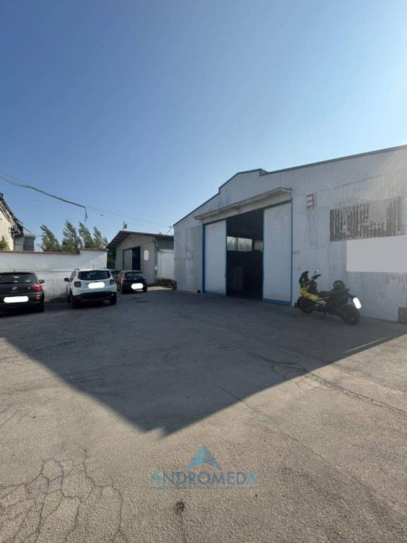 immagine annuncio 9 di 14