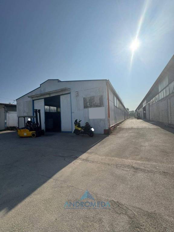 immagine annuncio 11 di 14