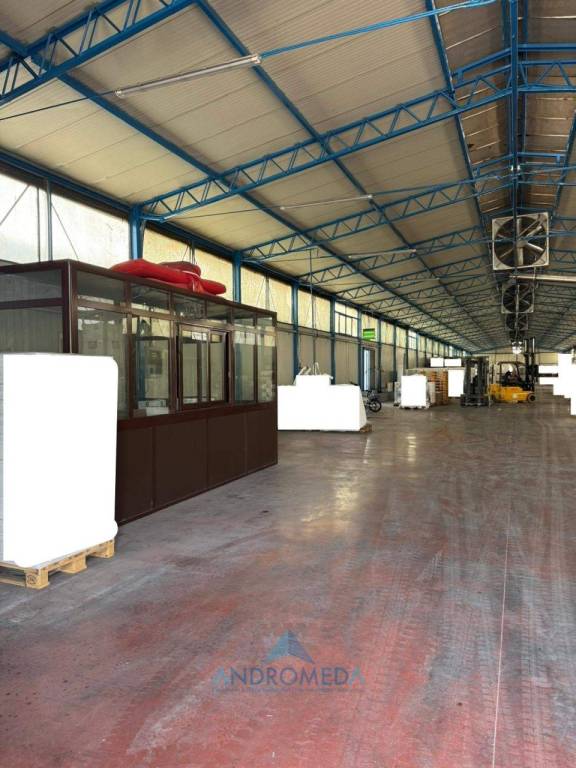 immagine annuncio 6 di 14