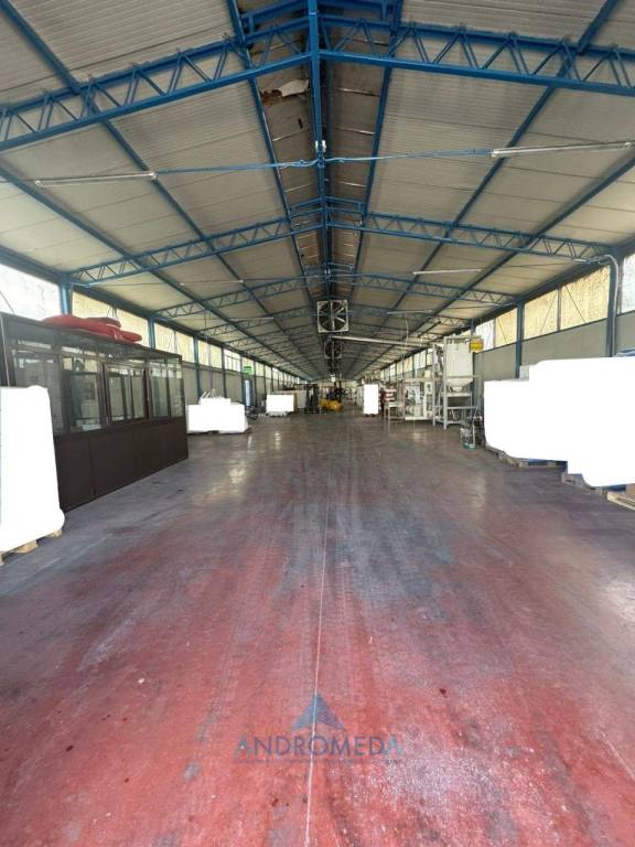 immagine annuncio 7 di 14