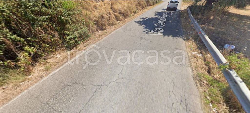 immagine annuncio 3 di 11
