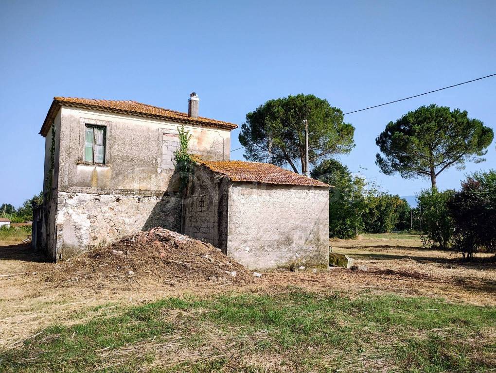 immagine annuncio 5 di 11