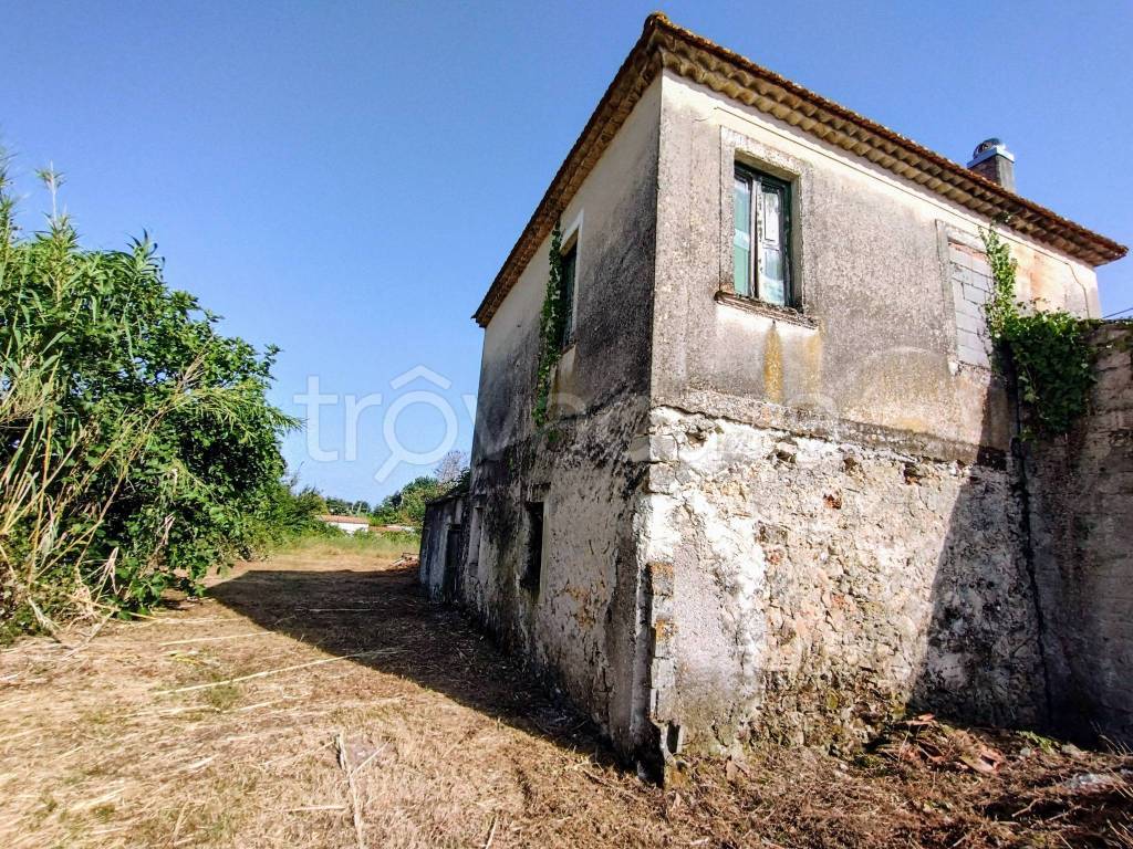 immagine annuncio 7 di 11