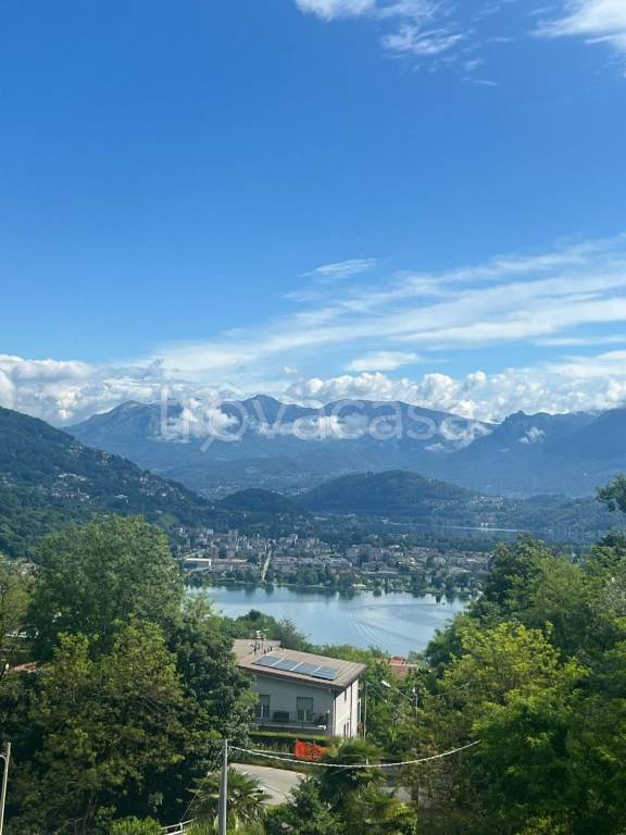 immagine annuncio 10 di 12