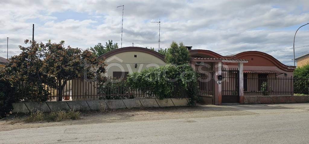 immagine annuncio 6 di 14