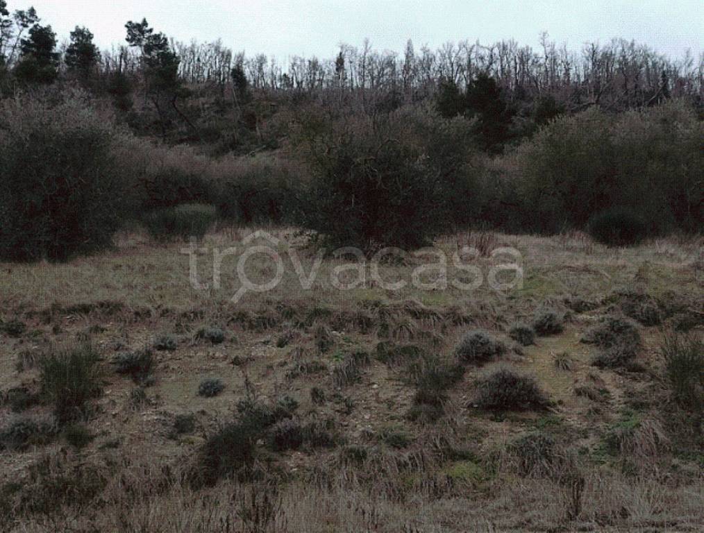 immagine annuncio 12 di 14
