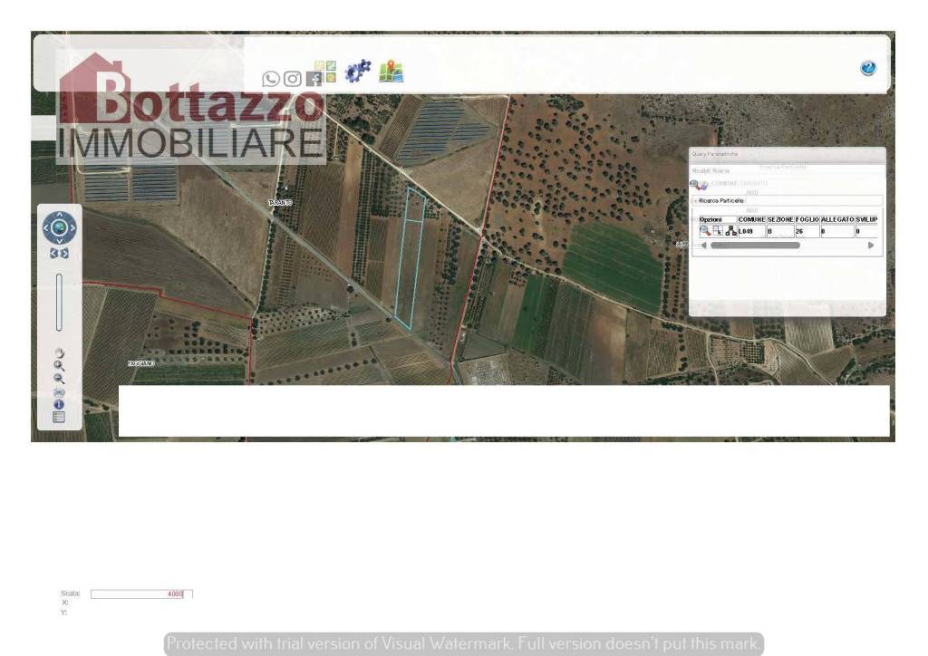 immagine annuncio 2 di 12