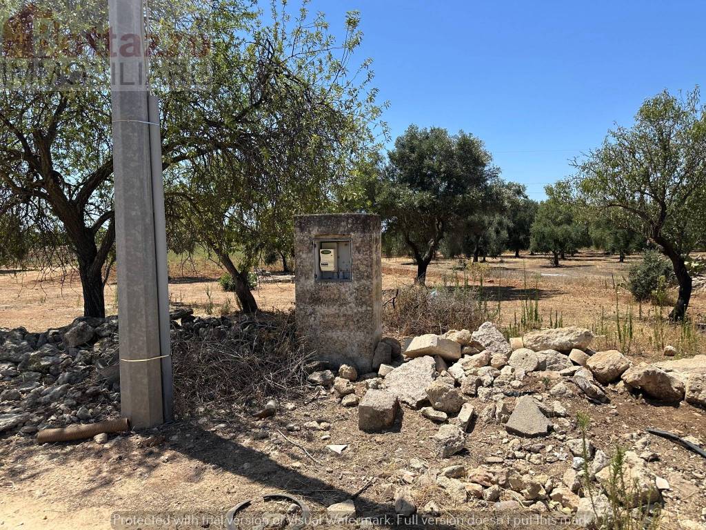 immagine annuncio 8 di 12