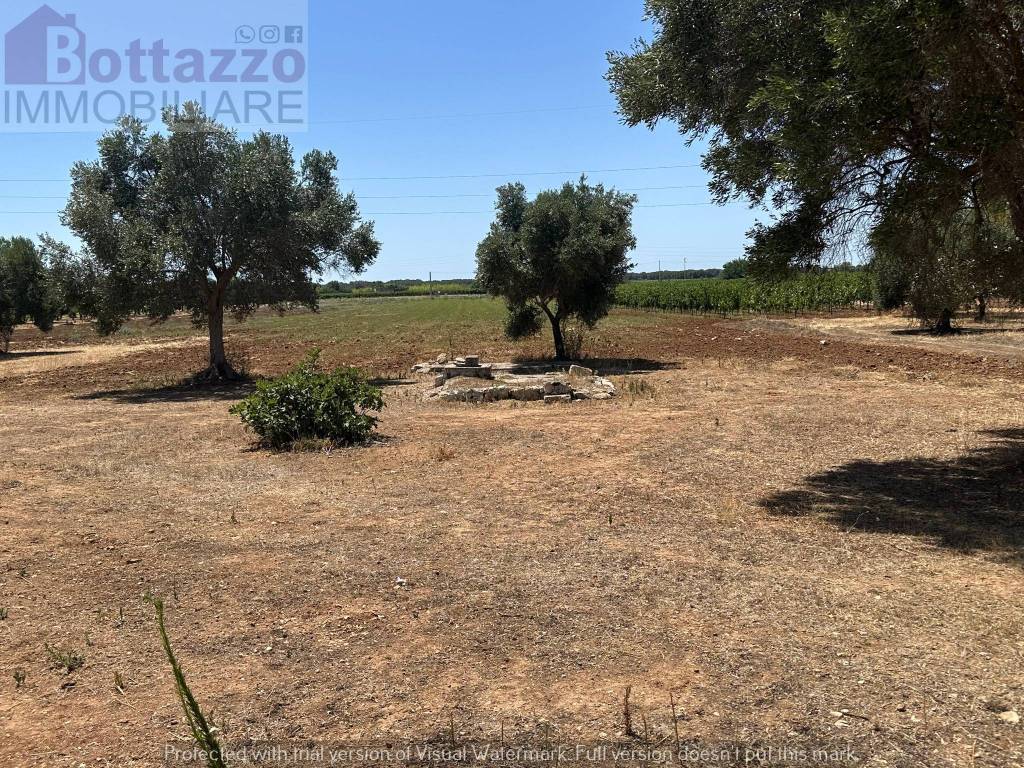 immagine annuncio 9 di 12