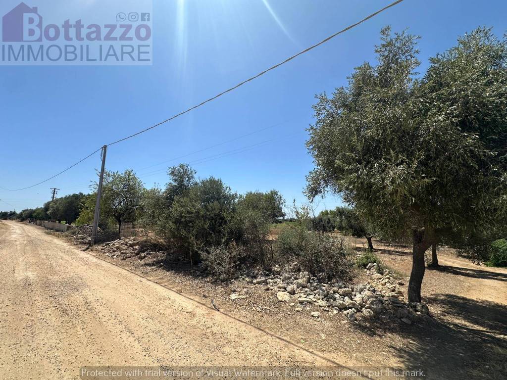 immagine annuncio 11 di 12