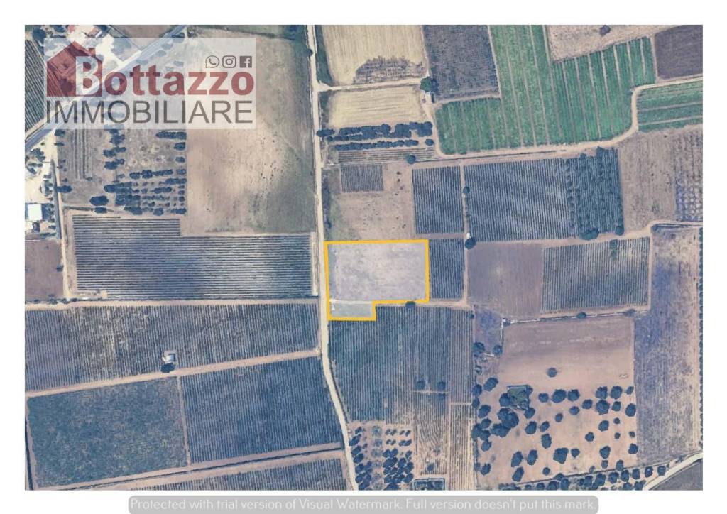 immagine annuncio 2 di 7