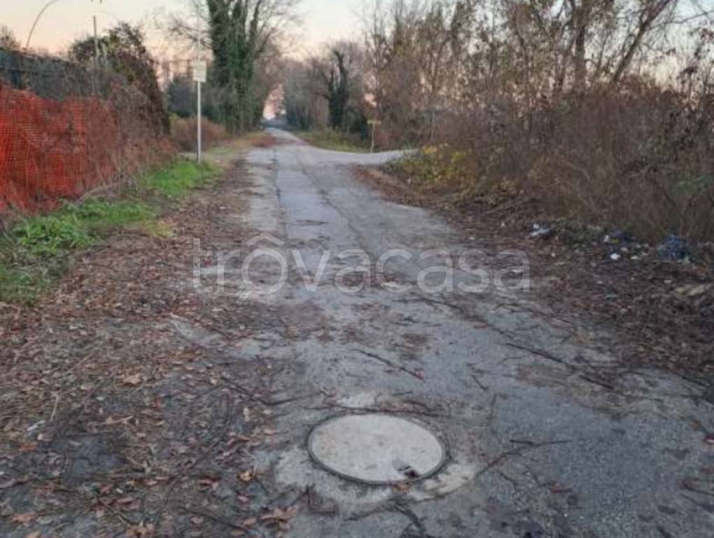 immagine annuncio 5 di 11