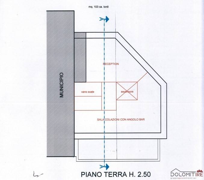 immagine annuncio 11 di 12