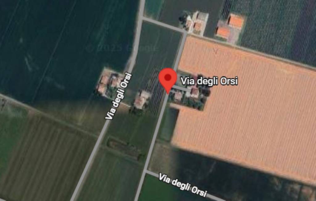 immagine annuncio 3 di 7
