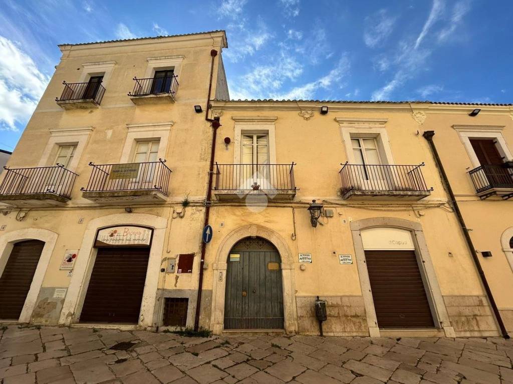 immagine annuncio 11 di 12