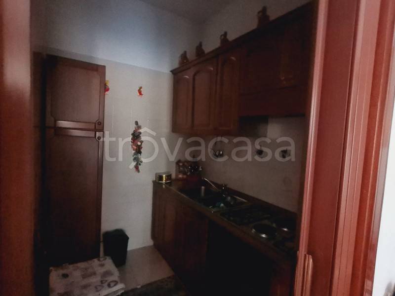 immagine annuncio 7 di 14