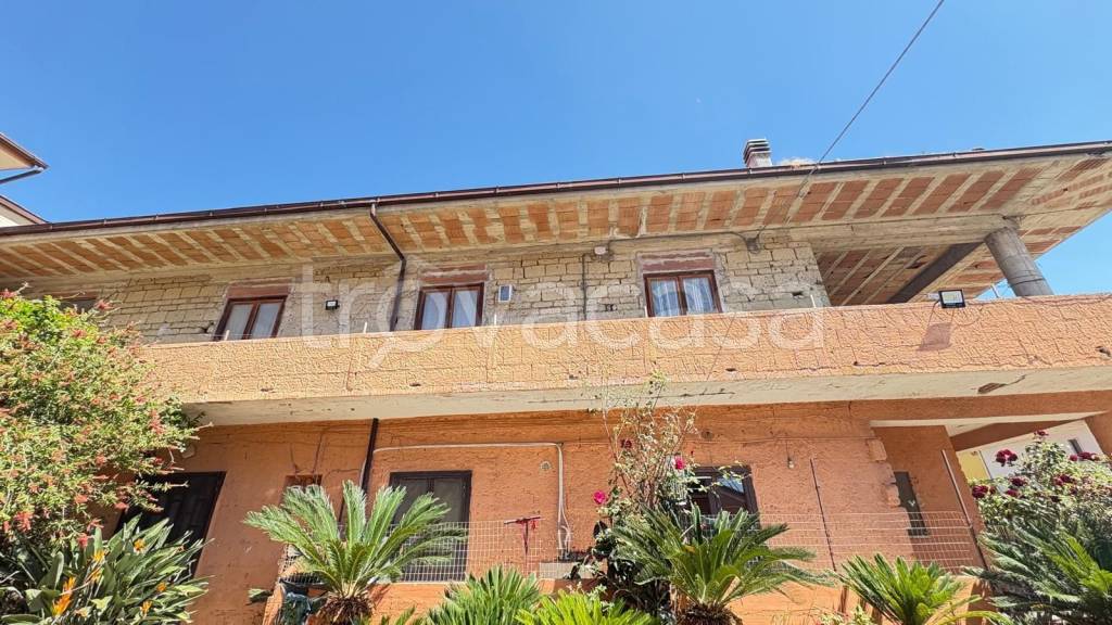 immagine annuncio 9 di 14