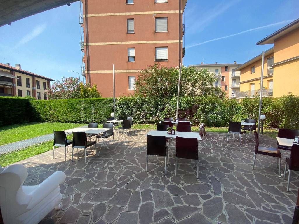 immagine annuncio 6 di 11