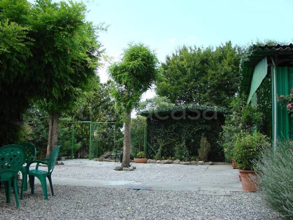 immagine annuncio 11 di 15