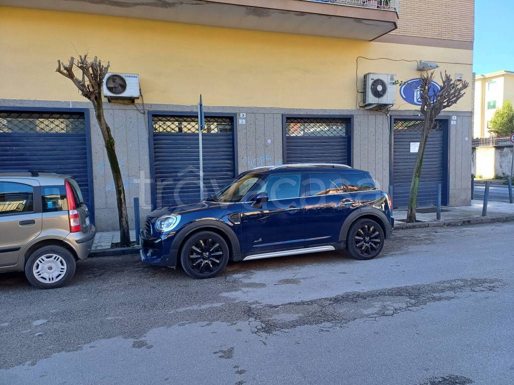 immagine annuncio 1 di 2