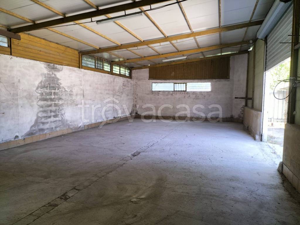 immagine annuncio 3 di 6