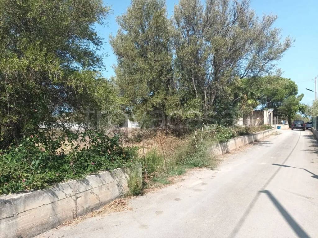 immagine annuncio 3 di 6