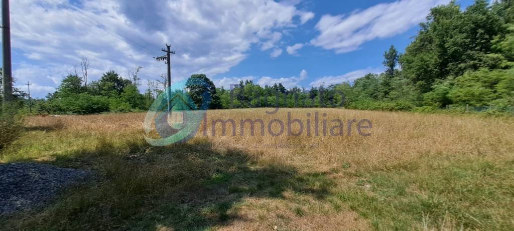 immagine annuncio 4 di 9
