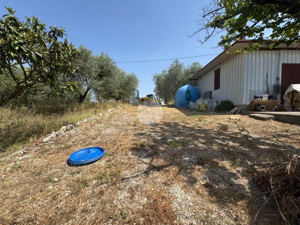 immagine annuncio 1 di 13