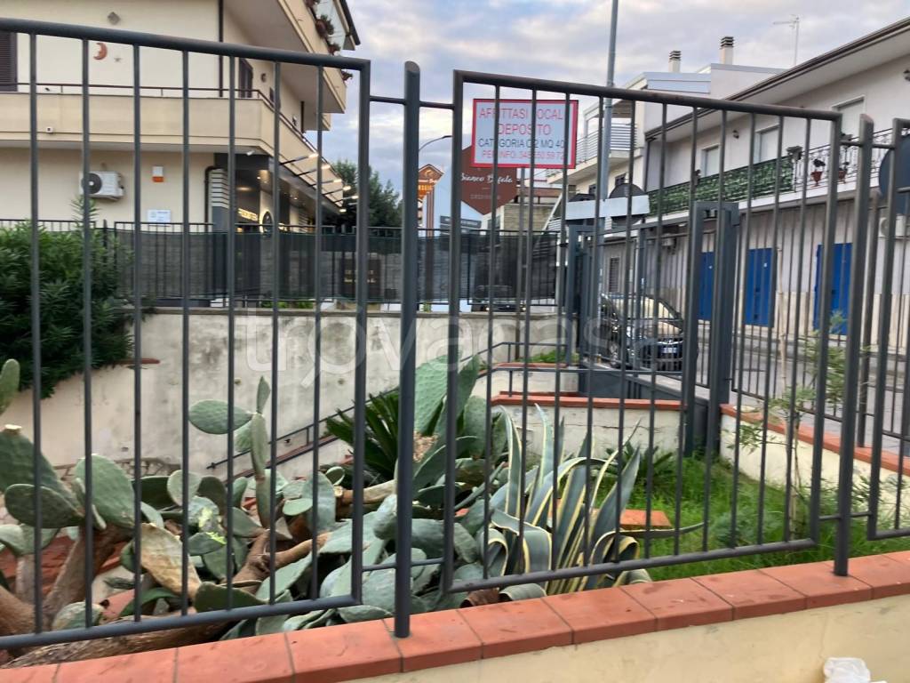 immagine annuncio 3 di 12