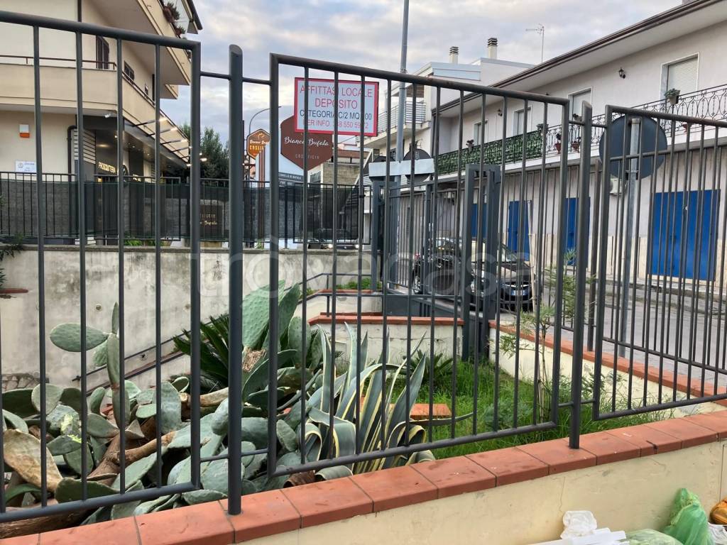 immagine annuncio 8 di 12