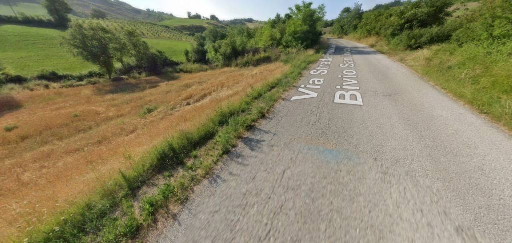 immagine annuncio 3 di 11