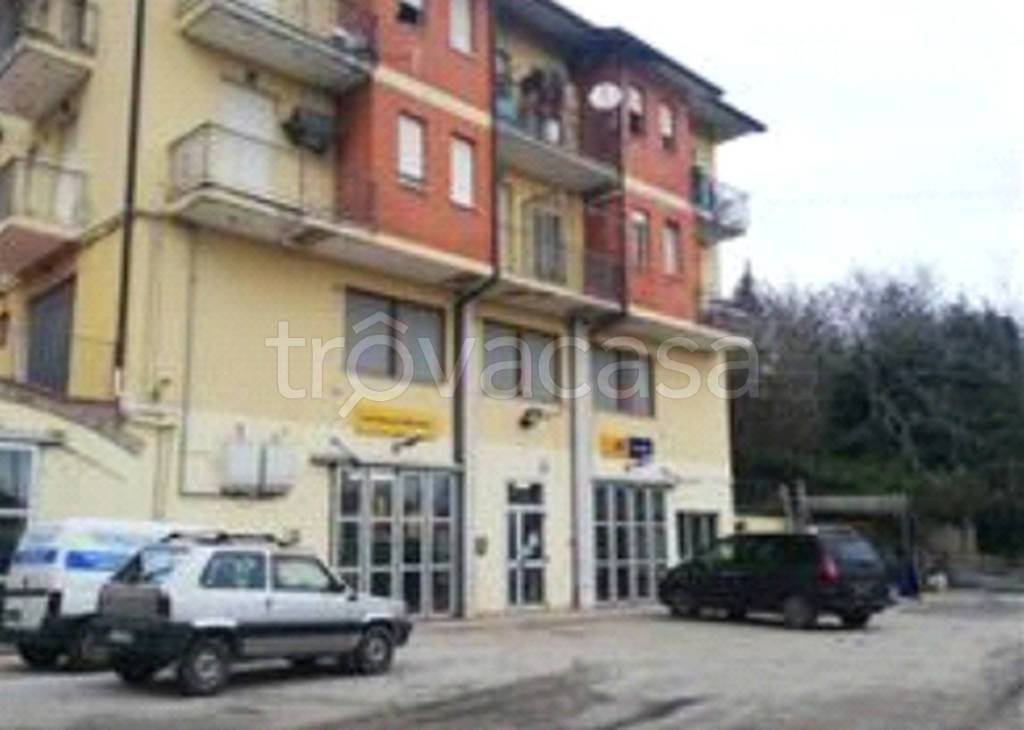 immagine annuncio 12 di 13