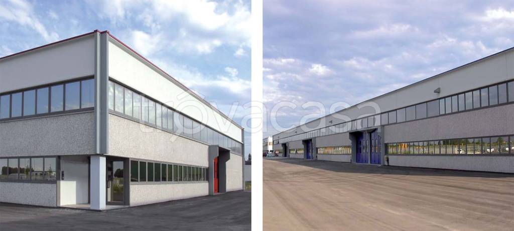 immagine annuncio 2 di 10