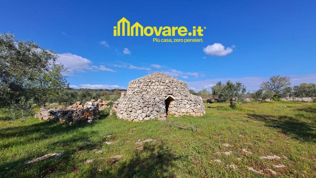 immagine annuncio 1 di 7