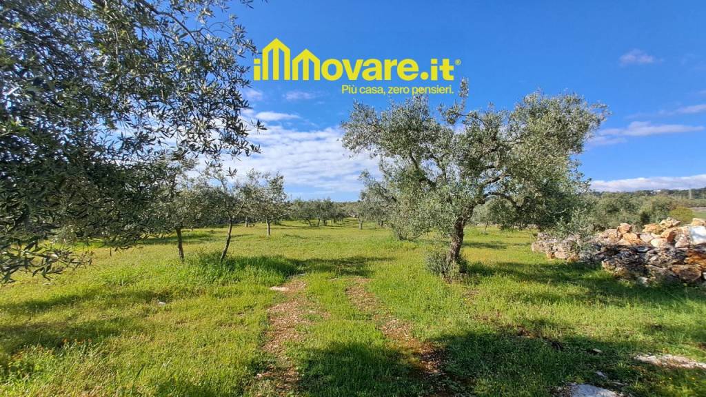 immagine annuncio 2 di 7