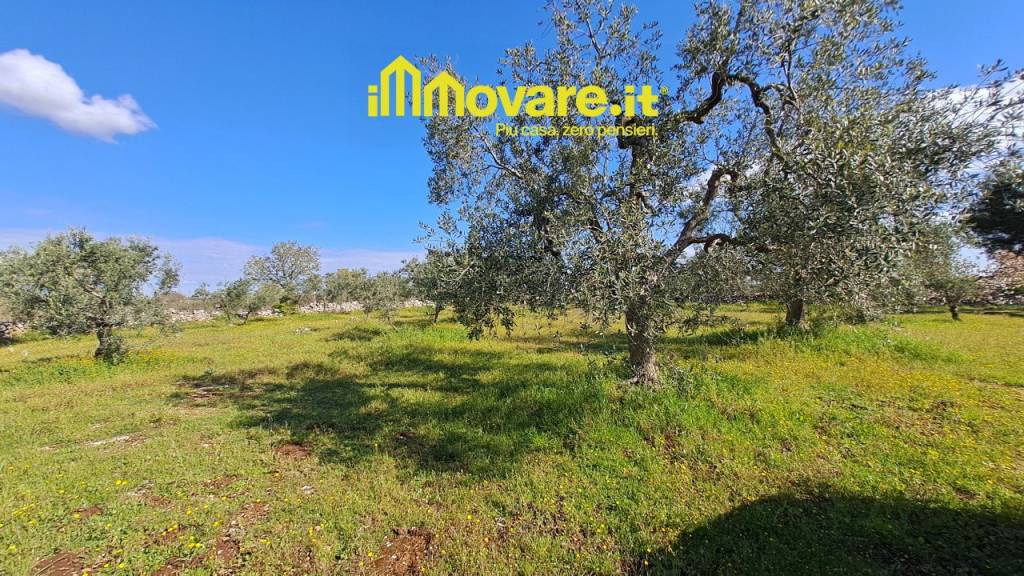 immagine annuncio 3 di 7