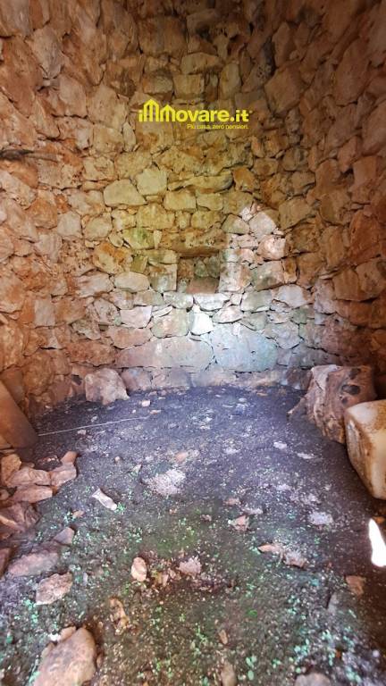 immagine annuncio 4 di 7